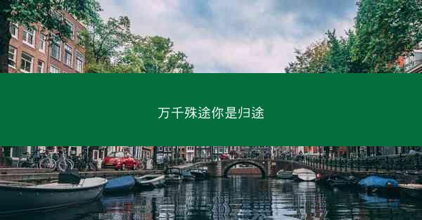 万千殊途你是归途