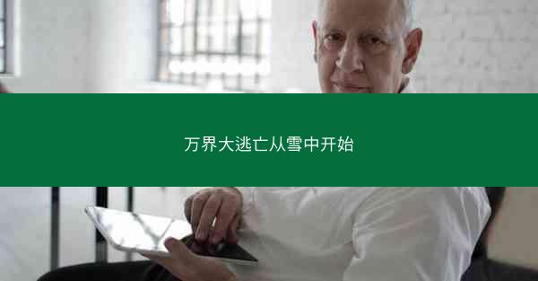 万界大逃亡从雪中开始