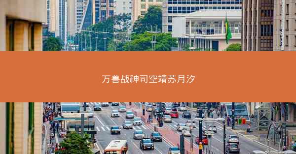 万兽战神司空靖苏月汐