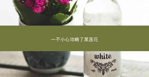一不小心攻略了黑莲花
