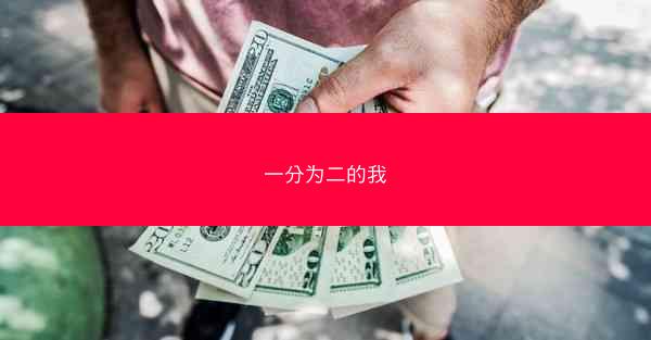 一分为二的我 一分为二的我