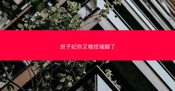 世子妃你又被挖墙脚了
