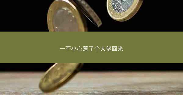 一不小心惹了个大佬回来