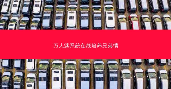 万人迷系统在线培养兄弟情