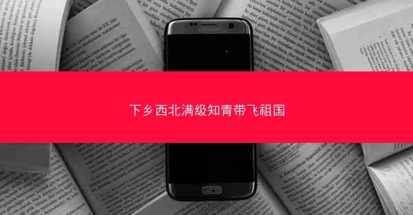 下乡西北满级知青带飞祖国