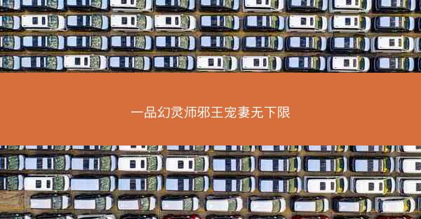 一品幻灵师邪王宠妻无下限