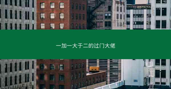 一加一大于二的过门大佬