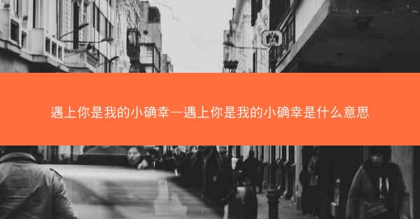 遇上你是我的小确幸—遇上你是我的小确幸是什么意思