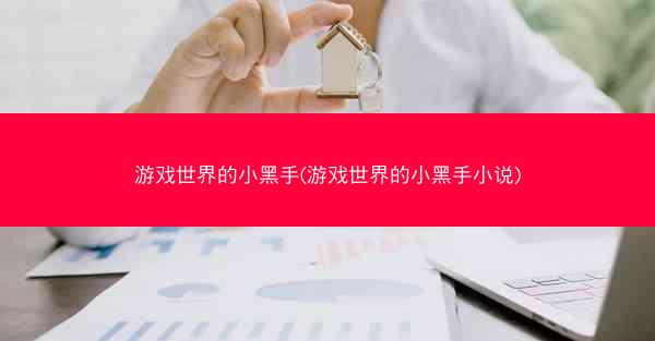 游戏世界的小黑手(游戏世界的小黑手小说)