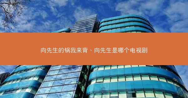 向先生的锅我来背、向先生是哪个电视剧