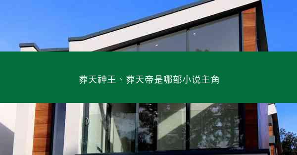 葬天神王、葬天帝是哪部小说主角