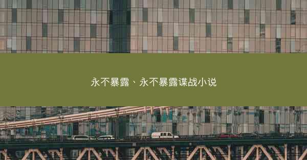 永不暴露、永不暴露谍战小说