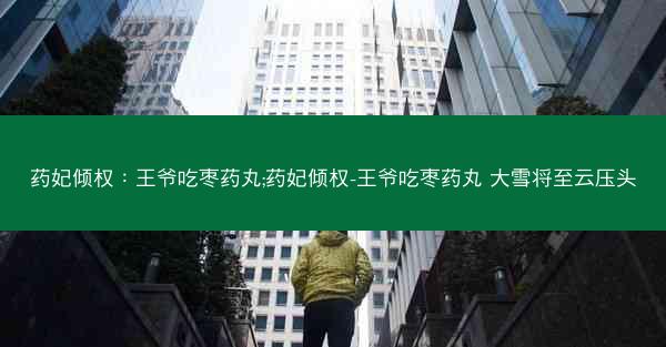 药妃倾权：王爷吃枣药丸;药妃倾权-王爷吃枣药丸 大雪将至云压头