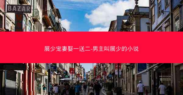 展少宠妻娶一送二-男主叫展少的小说
