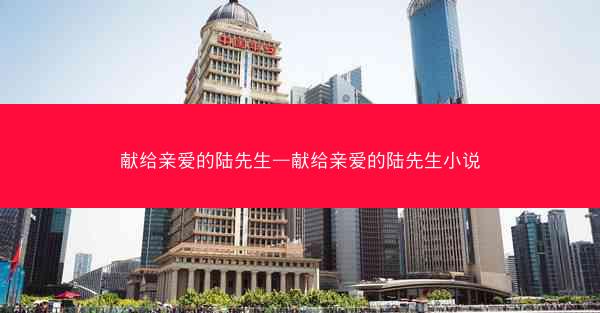 献给亲爱的陆先生—献给亲爱的陆先生小说