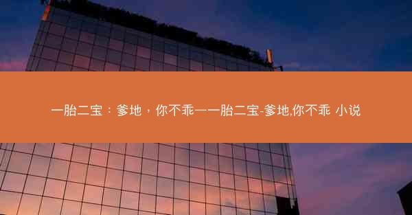一胎二宝：爹地，你不乖—一胎二宝-爹地,你不乖 小说