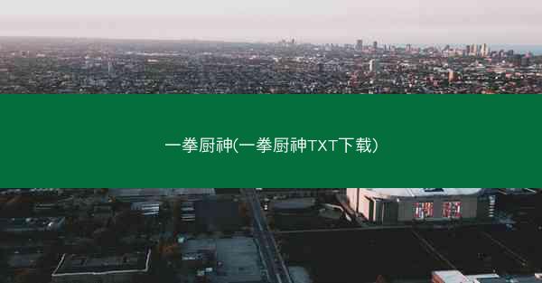 一拳厨神(一拳厨神TXT下载)
