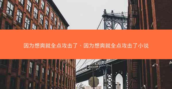 因为想爽就全点攻击了、因为想爽就全点攻击了小说