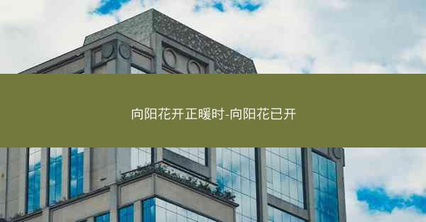 向阳花开正暖时-向阳花已开