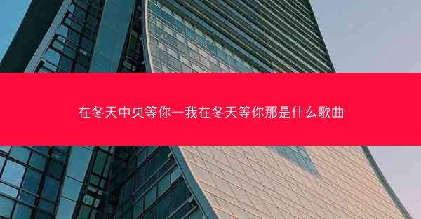 在冬天中央等你—我在冬天等你那是什么歌曲