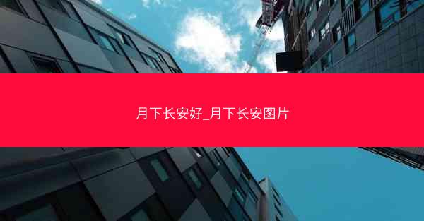 月下长安好_月下长安图片