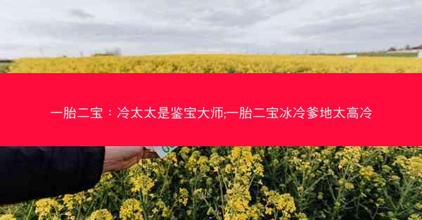 一胎二宝：冷太太是鉴宝大师;一胎二宝冰冷爹地太高冷