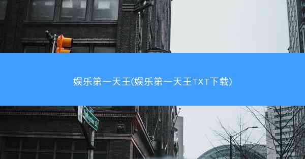 娱乐第一天王(娱乐第一天王TXT下载)