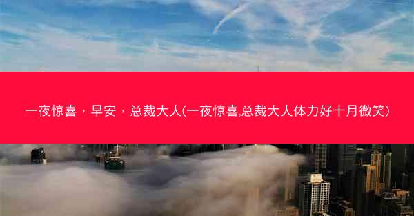 一夜惊喜，早安，总裁大人(一夜惊喜,总裁大人体力好十月微笑)