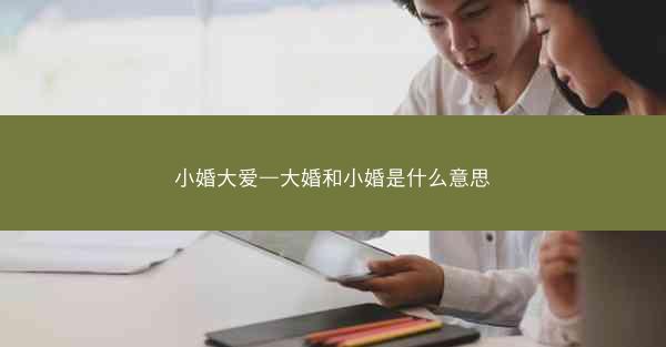 小婚大爱—大婚和小婚是什么意思