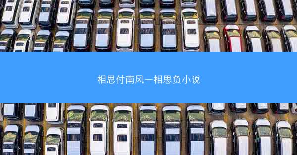 相思付南风—相思负小说