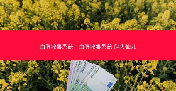 血脉收集系统、血脉收集系统 胖大仙儿