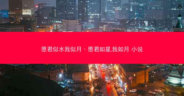 愿君似水我似月、愿君如星,我如月 小说