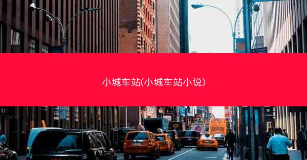 小城车站(小城车站小说)