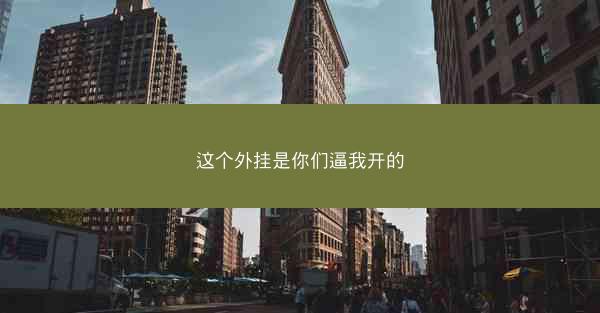 这个外挂是你们逼我开的
