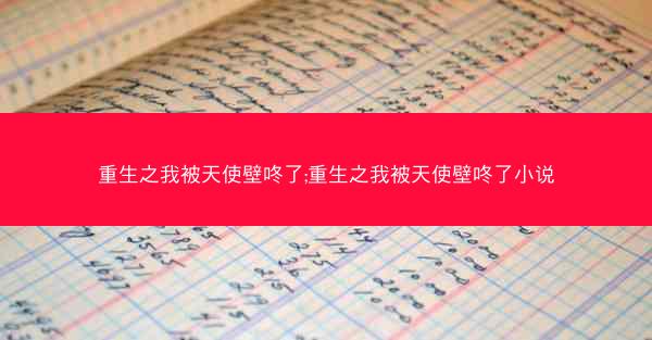 重生之我被天使壁咚了;重生之我被天使壁咚了小说