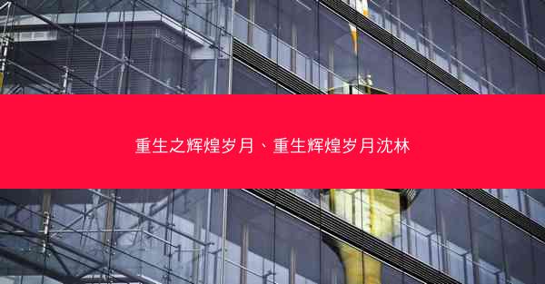 重生之辉煌岁月、重生辉煌岁月沈林
