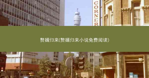 赘婿归来(赘婿归来小说免费阅读)