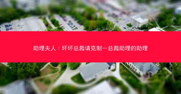助理夫人：坏坏总裁请克制—总裁助理的助理