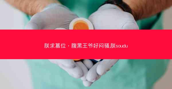 朕求篡位，腹黑王爷好闷骚,朕soudu