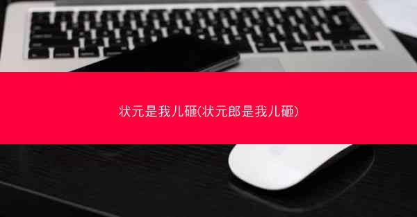 状元是我儿砸(状元郎是我儿砸)