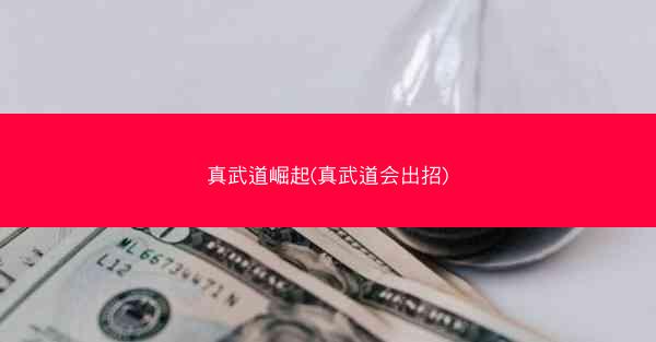 真武道崛起(真武道会出招)