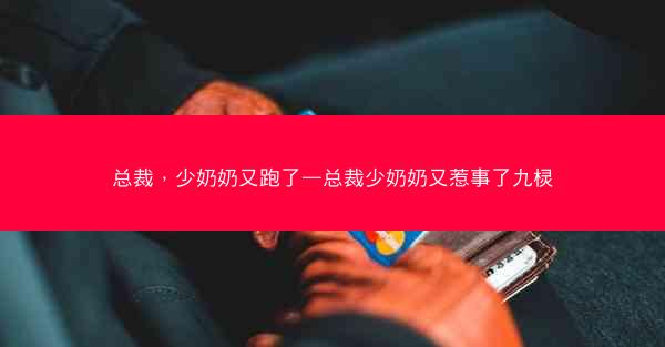 总裁，少奶奶又跑了—总裁少奶奶又惹事了九棂
