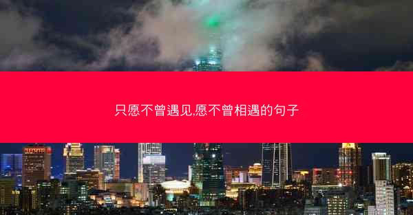 只愿不曾遇见,愿不曾相遇的句子