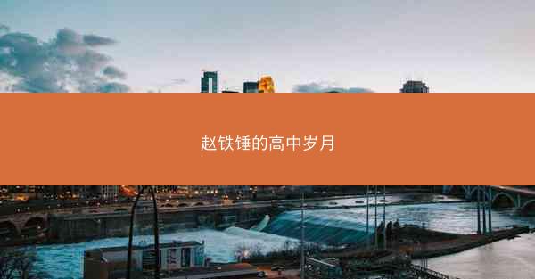 赵铁锤的高中岁月