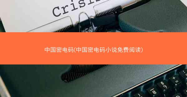 中国密电码(中国密电码小说免费阅读)