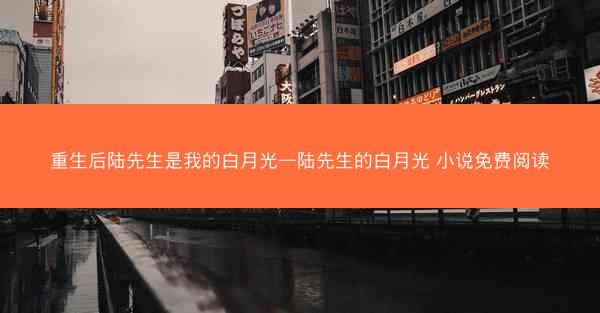 重生后陆先生是我的白月光—陆先生的白月光 小说免费阅读