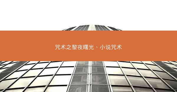 咒术之黎夜曙光、小说咒术
