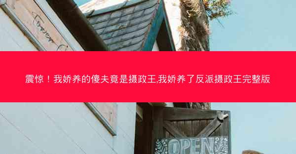 震惊！我娇养的傻夫竟是摄政王,我娇养了反派摄政王完整版