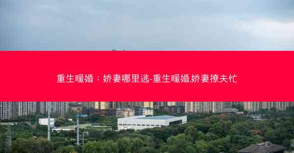 重生暖婚：娇妻哪里逃-重生暖婚,娇妻撩夫忙