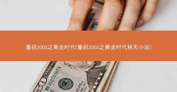重启2002之黄金时代(重启2002之黄金时代林天小说)